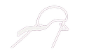 Swift Food Logo